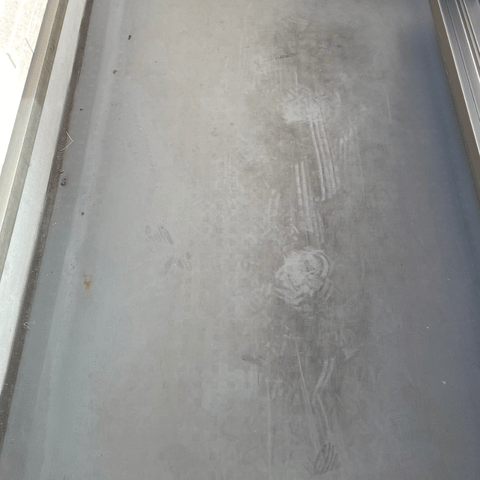 施工前：数年分のコケ・カビ（神戸市東灘区）